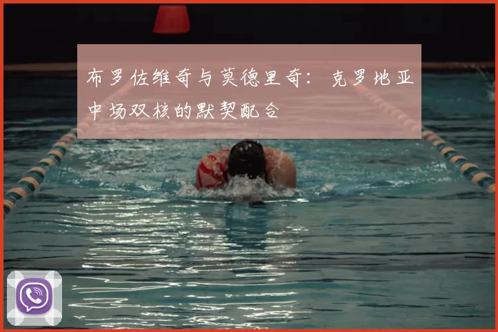 布罗佐维奇与莫德里奇:克罗地亚中场双核的默契配合