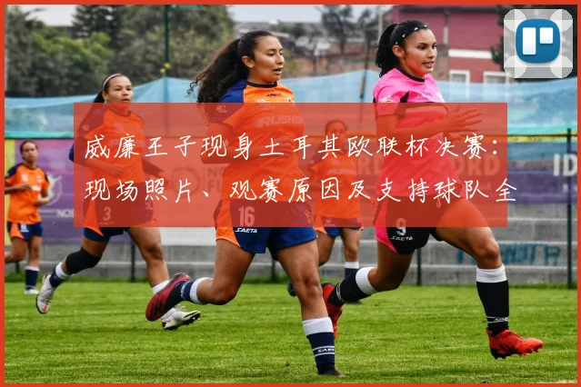 威廉王子现身土耳其欧联杯决赛：现场照片、观赛原因及支持球队全解析