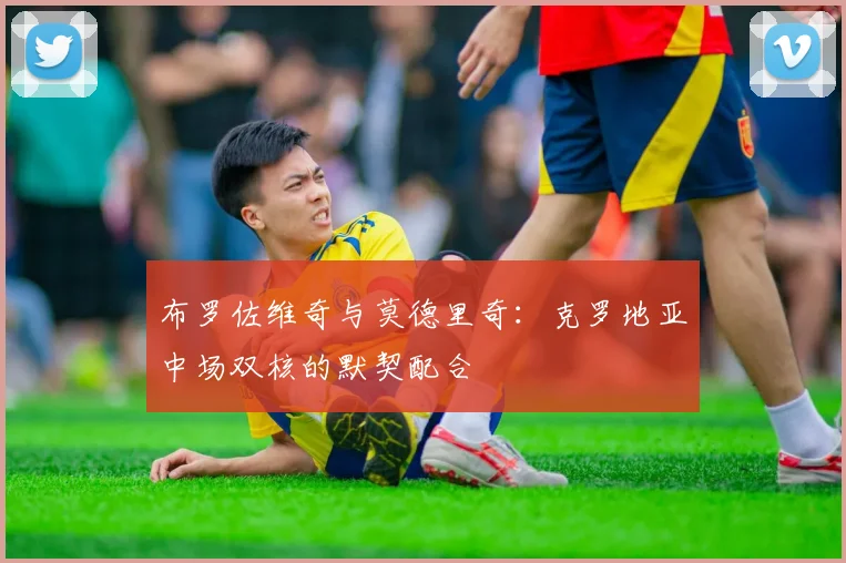 布罗佐维奇与莫德里奇：克罗地亚中场双核的默契配合