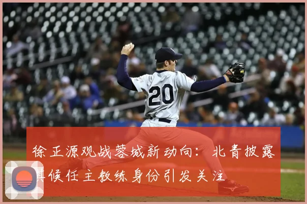 徐正源观战蓉城新动向：北青披露其候任主教练身份引发关注