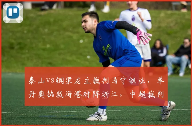 泰山vs铜梁龙主裁判马宁执法，单丹奥执裁海港对阵浙江，中超裁判安排引关注